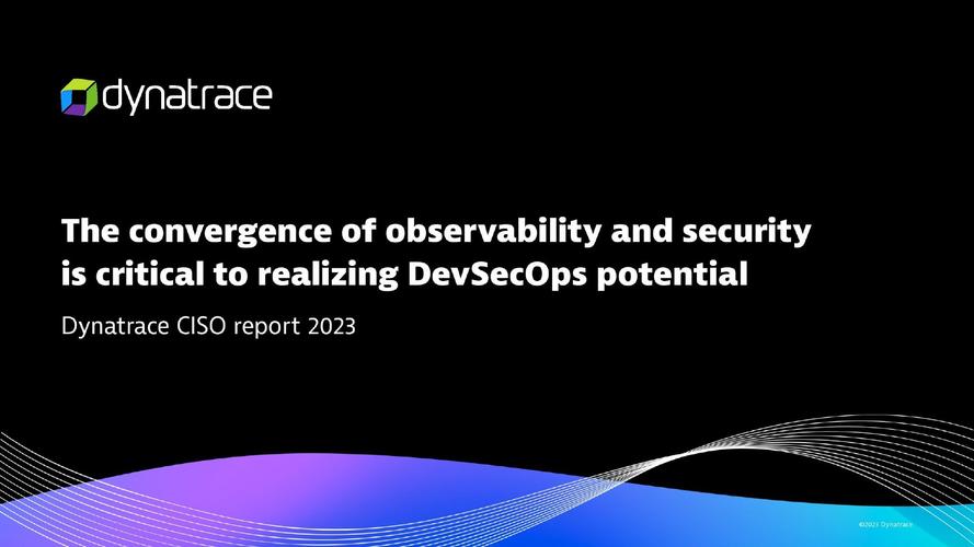 dynatrace:2023年首席信息安全官报告